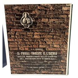 Il Friuli, Trieste e l'Istria dalla preistoria alla caduta del patriarcato d'Aquileia I-V