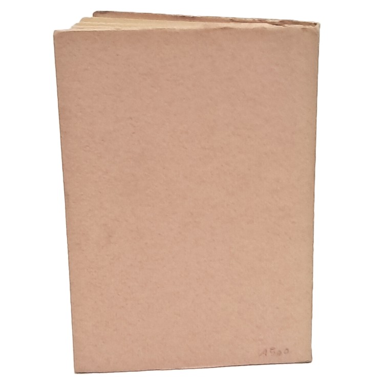 I delfini di Scipio Slataper