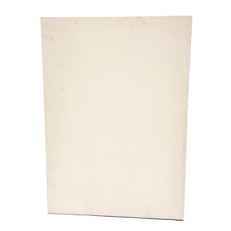 I borghi rurali friulani