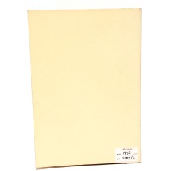 Bronzi preromani del Friuli 2