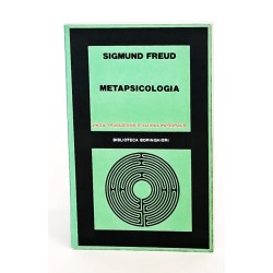 Metapsicologia
