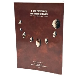 Il sito preistorico del riparo di Biarzo (valle del Natisone, Friuli)