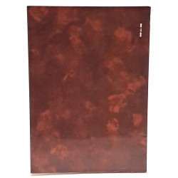 Il sito preistorico del riparo di Biarzo (valle del Natisone, Friuli) 2