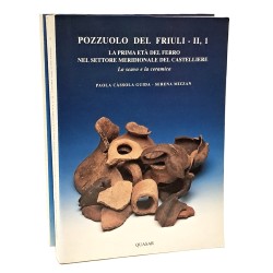 Pozzuolo del Friuli II, 1-2: La prima età del ferro nel settore meridionale del castelliere