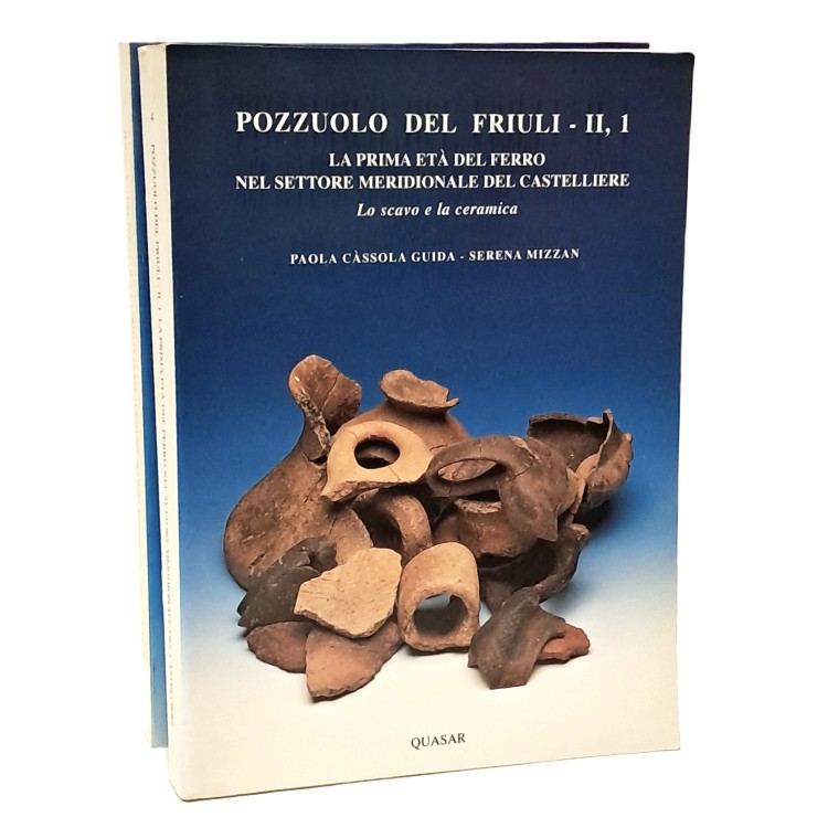 Pozzuolo del Friuli II, 1-2: La prima età del ferro nel settore meridionale del castelliere