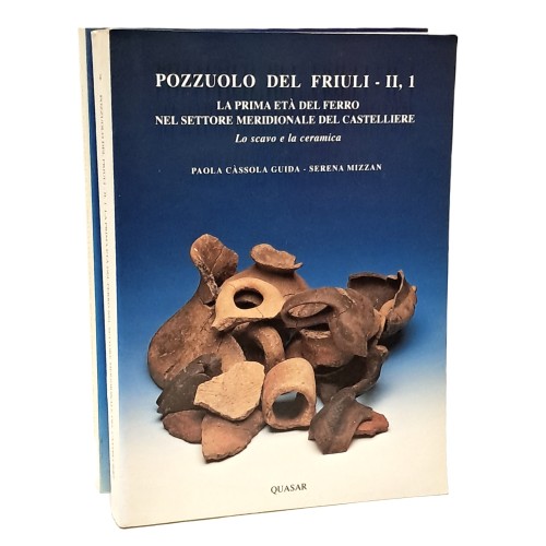 Pozzuolo del Friuli II, 1-2: La prima età del ferro nel settore meridionale del castelliere