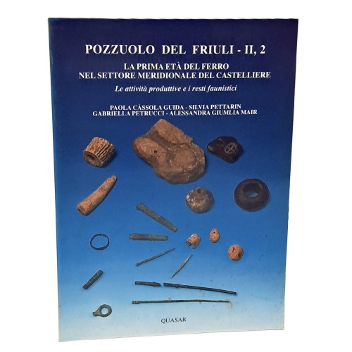 Pozzuolo del Friuli II, 1-2: La prima età del ferro nel settore meridionale del castelliere