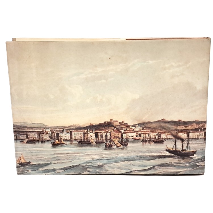 Ritratto di città Trieste. Vedute, impressioni, cronache nelle stampe dell'Ottocento