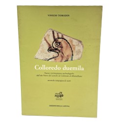Colloredo duemila. Nuove testimonianze archeologiche dall'ala Nievo del castello di Colloredo di Montalbano