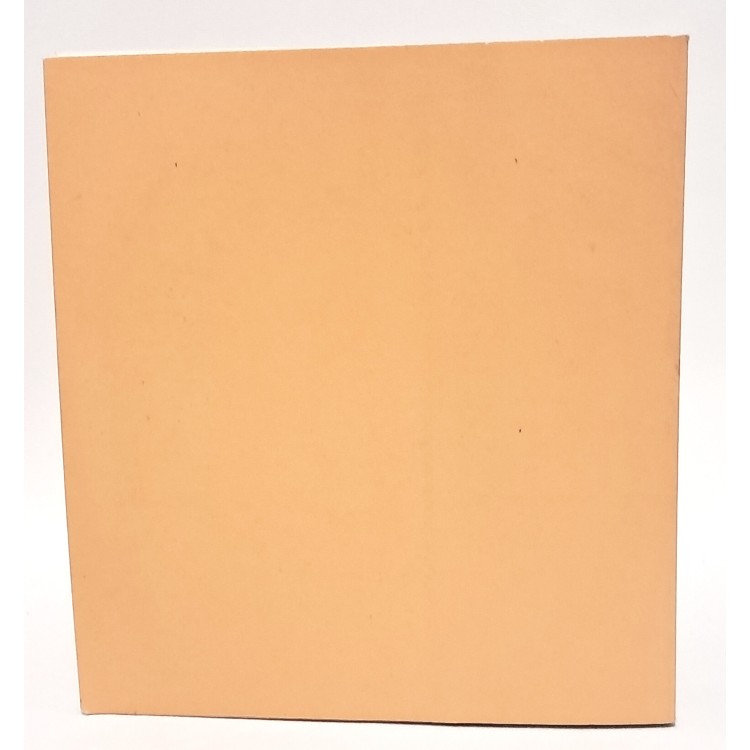 Presenze romane nel territorio del Medio Friuli. Mortegliano Talmassons