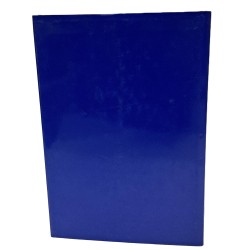 Bassorilievi araldici ed epigrafi di Capodistria dalle origini al 1945 2