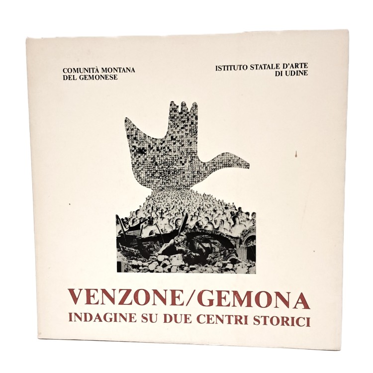 Venzone/Gemona. Indagine su due centri storici