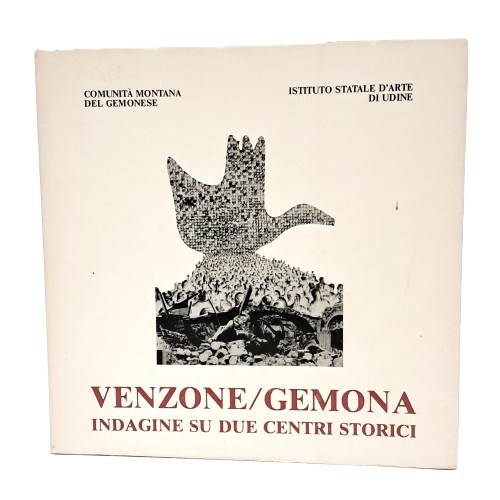 Venzone/Gemona. Indagine su due centri storici