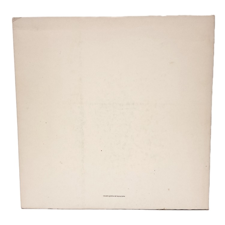 Venzone/Gemona. Indagine su due centri storici