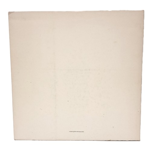 Venzone/Gemona. Indagine su due centri storici