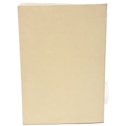 Un secolo di filosofia friulana e giuliana 1870-1970 2