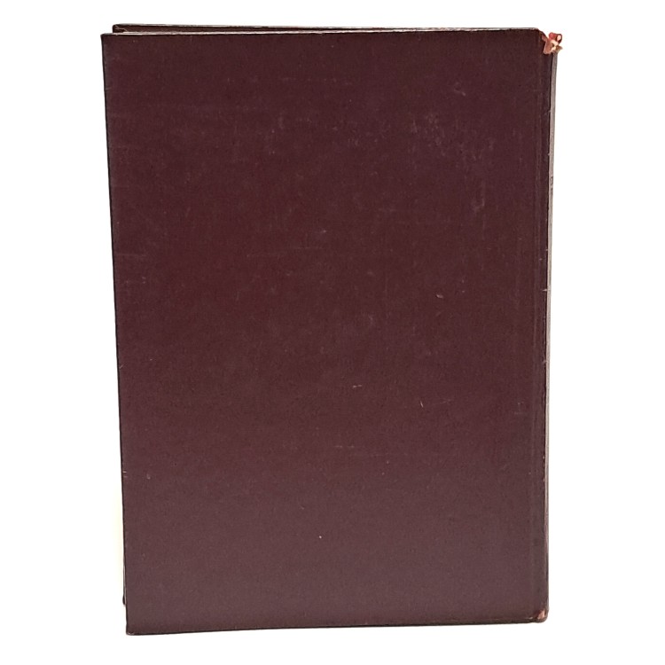 La ceramica triestina