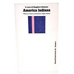 America indiana. Storia cultura situazione degli Indios