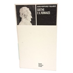 Goethe e il romanzo