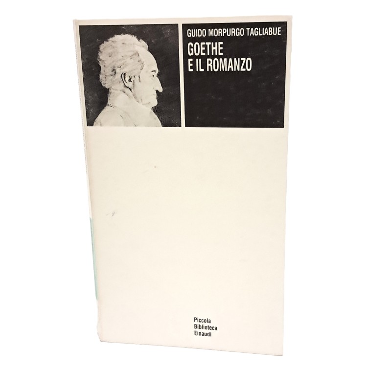 Goethe e il romanzo