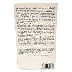 Goethe e il romanzo 2