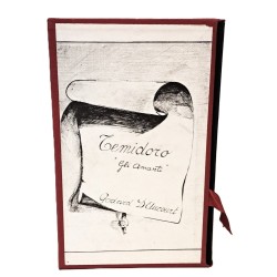 Temidoro ossia la mia storia e quella della mia amante 2