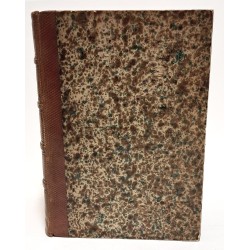 Niccolò de Lapi ovvero i Palleschi e i piagnoni