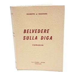 Belvedere sulla diga