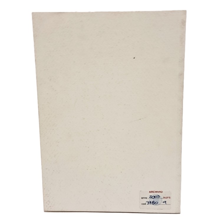 Aspetti storico-artistici di S.Maria Assunta a Muggia vecchia