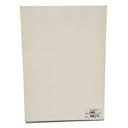 Cento anni della "Dante" in Friuli 2