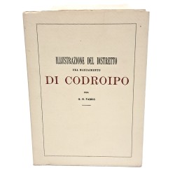 Illustrazione del distretto ora mandamento di Codroipo