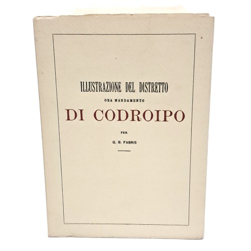 Illustrazione del distretto ora mandamento di Codroipo