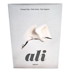 Ali. Uccelli delle lagune e dell'entroterra veneto immagini ed emozioni