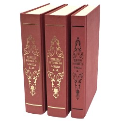 Istoria della contea di Gorizia. In quattro volumi seguiti da una appendice di note illustrative