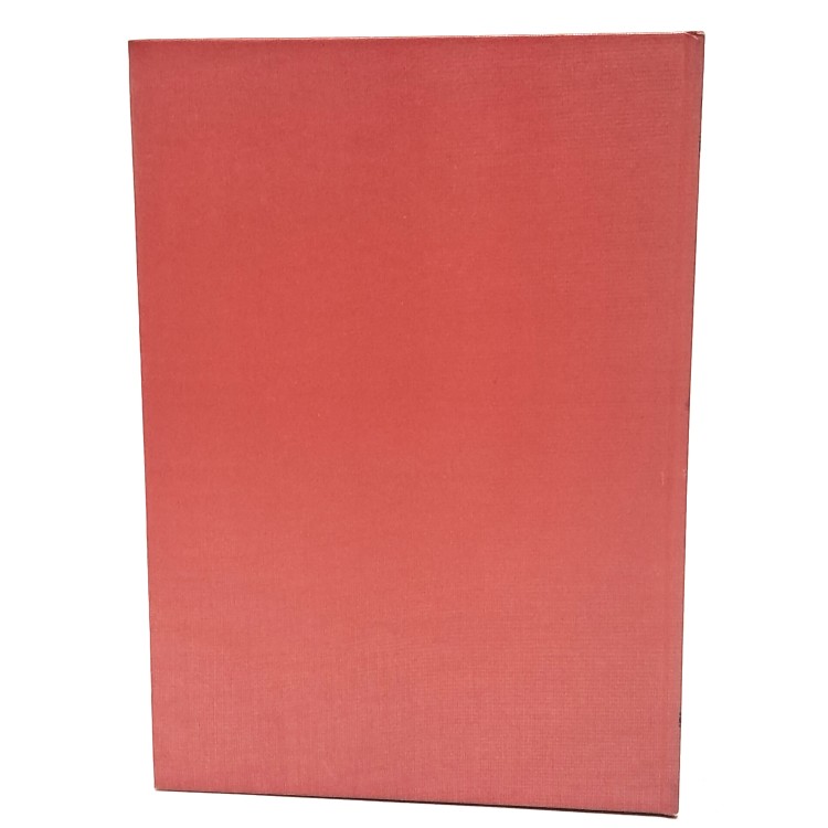 Attrattive di Trieste