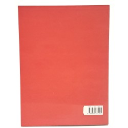 Il Novecento a Gorizia. Ricerca di una identità. Urbanistica e architettura 2