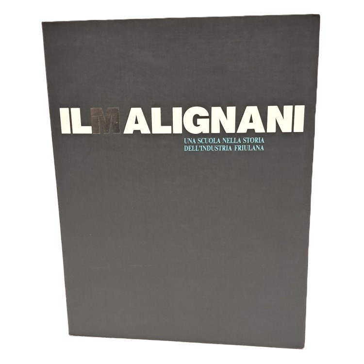 Il Malignani. Una scuola nella storia dell'industria friulana