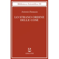 Lo strano ordine delle cose