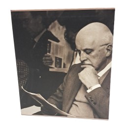 Antonio Comelli. Una vita per il Friuli