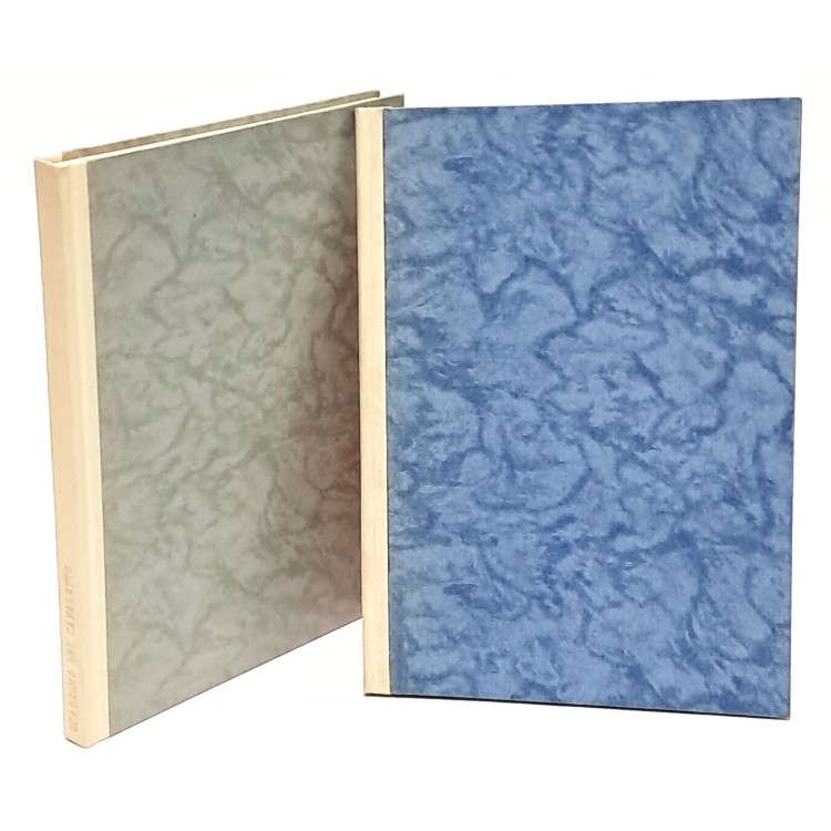 Il quaderno di disegni del Canaletto alle gallerie di Venezia I-II