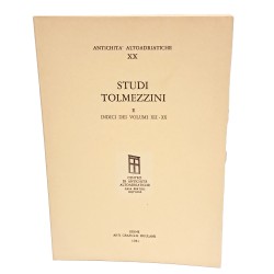 Studi tolmezzini