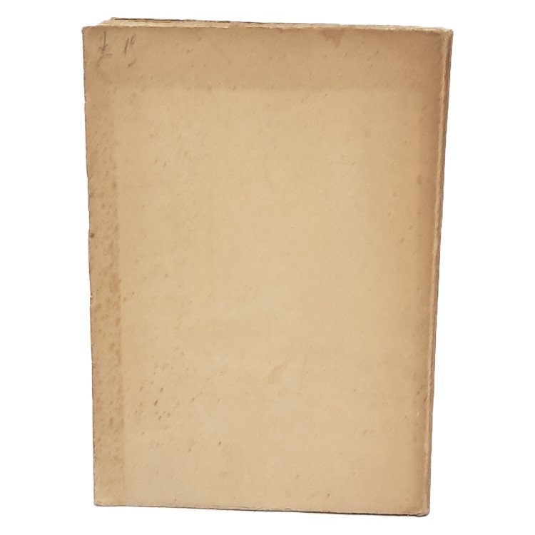 Il primato e l'infallibilità del romano pontefice in S. Leone Magno e gli scrittori greco-russi