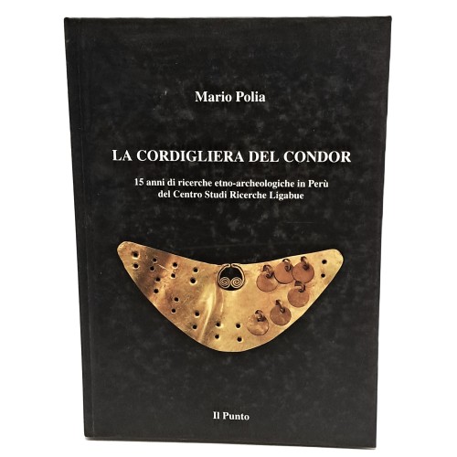 La cordigliera del Condor