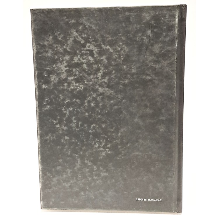 La cordigliera del Condor