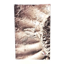 Storia naturale dei fossili 2