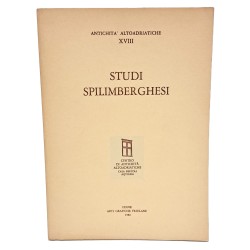 Studi spilimberghesi
