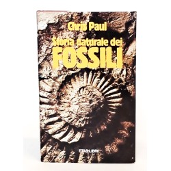 Storia naturale dei fossili