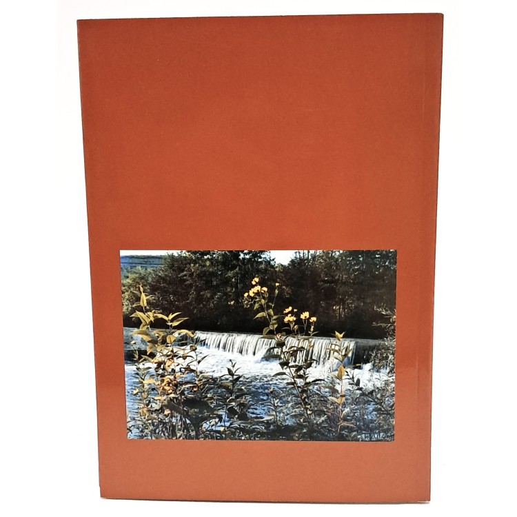 Il torrente Corno Cuàr di San Denel