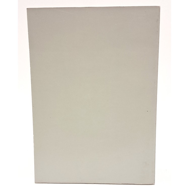 L'Isonzo. Geografia fisica, storica ed economica di un fiume internazionale