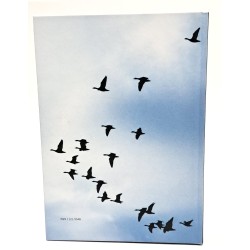 Avifauna del comune di Udine 2